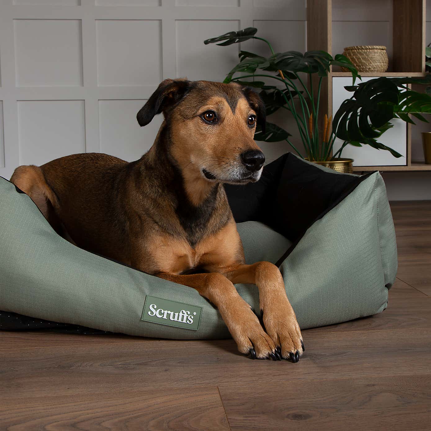 Scruffs Expedition Box Bed