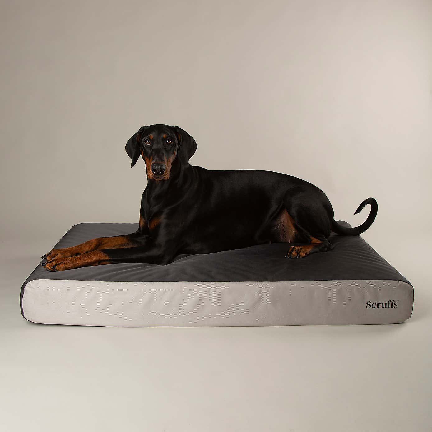 Scruffs ArmourDillo Orthopaedic Dog Bed