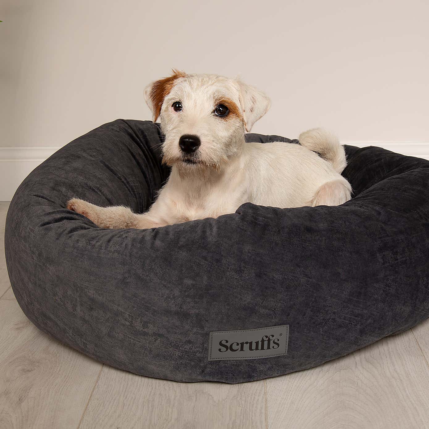 Scruff Oslo Donut Dog Bed