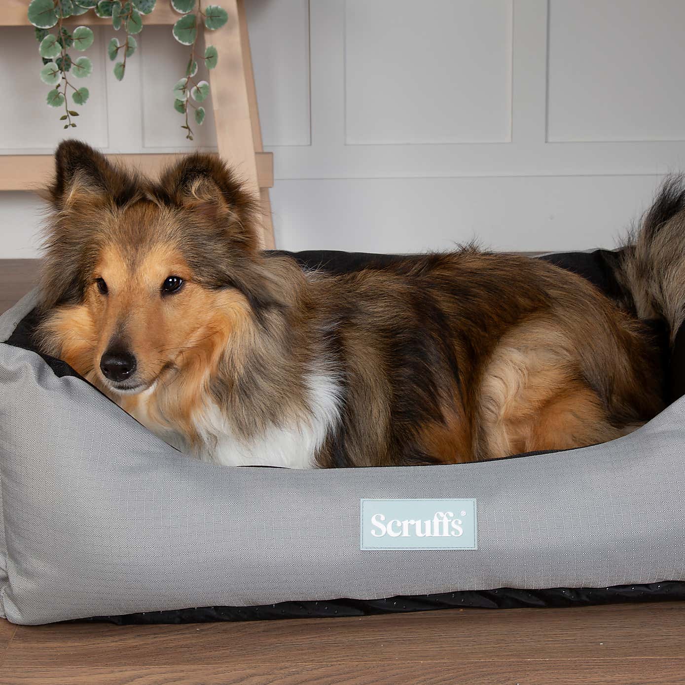 Scruffs Expedition Box Bed