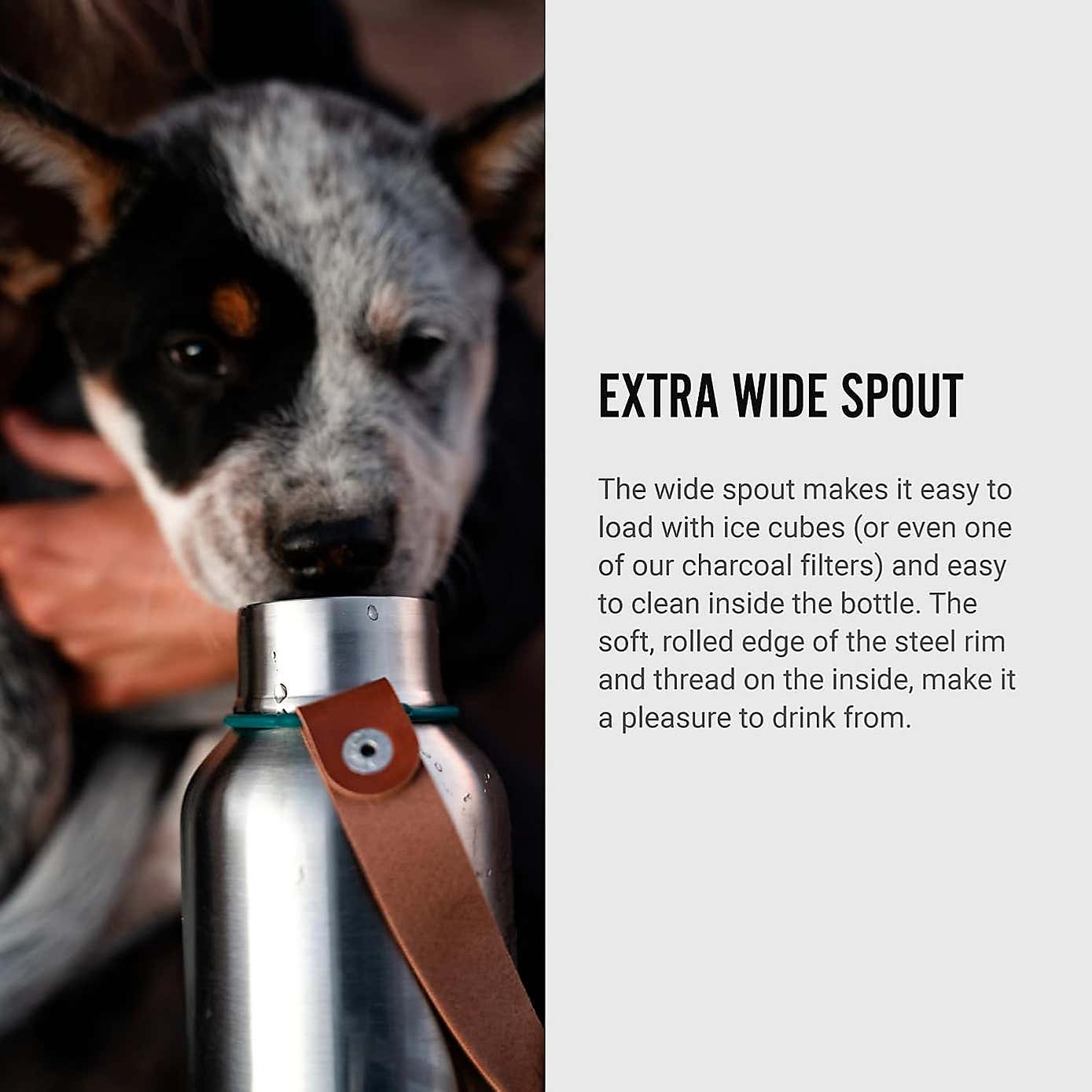 Black and Blum Insulated Water Bottle