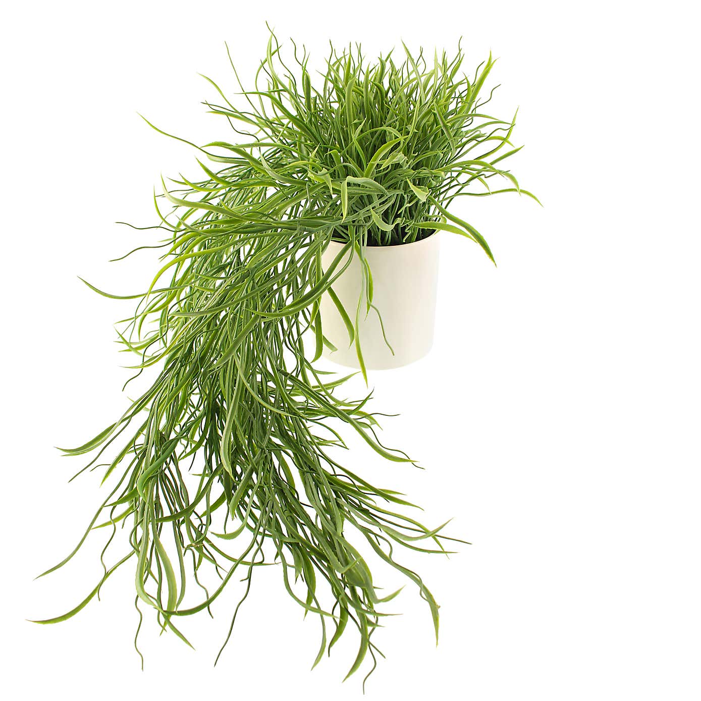 Artificial Trailing Grass in White Ceramic Plant Pot
