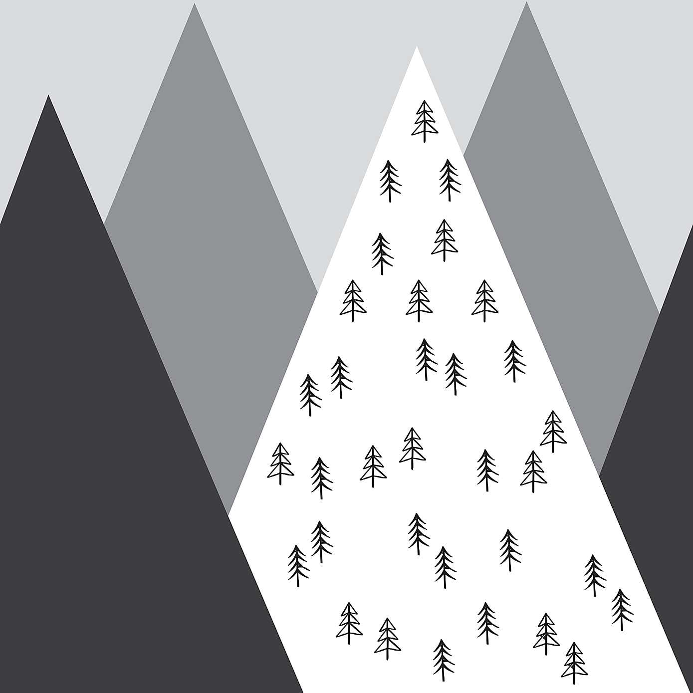 Geo Mountain Mono Mural