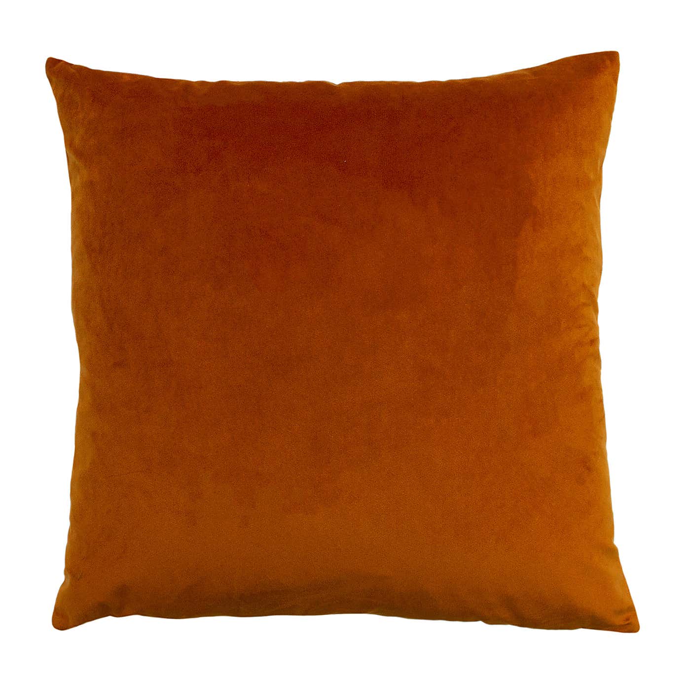 Palm Grove Cushion