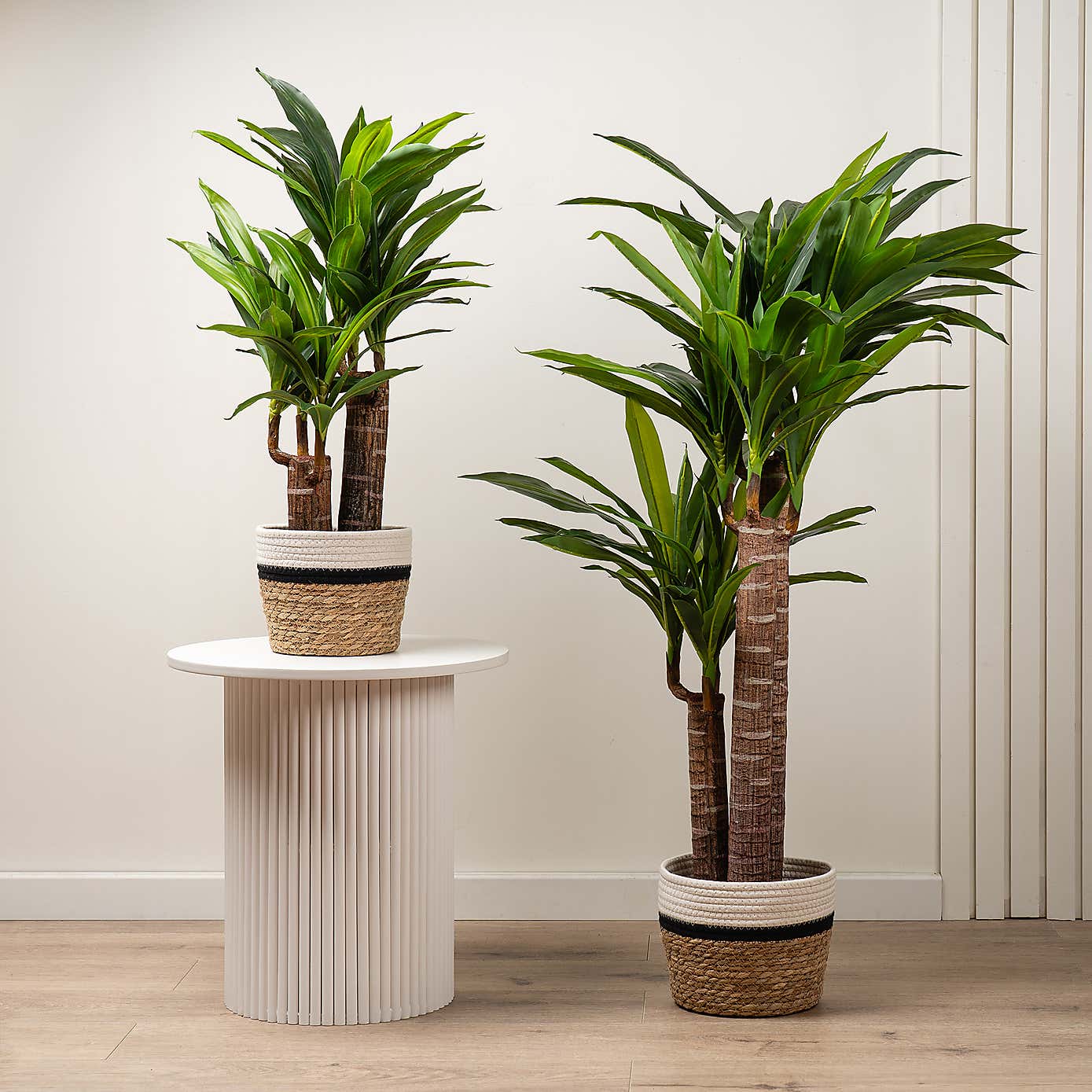 Artificial Triple Stem Yucca Tree in Black Plant Pot