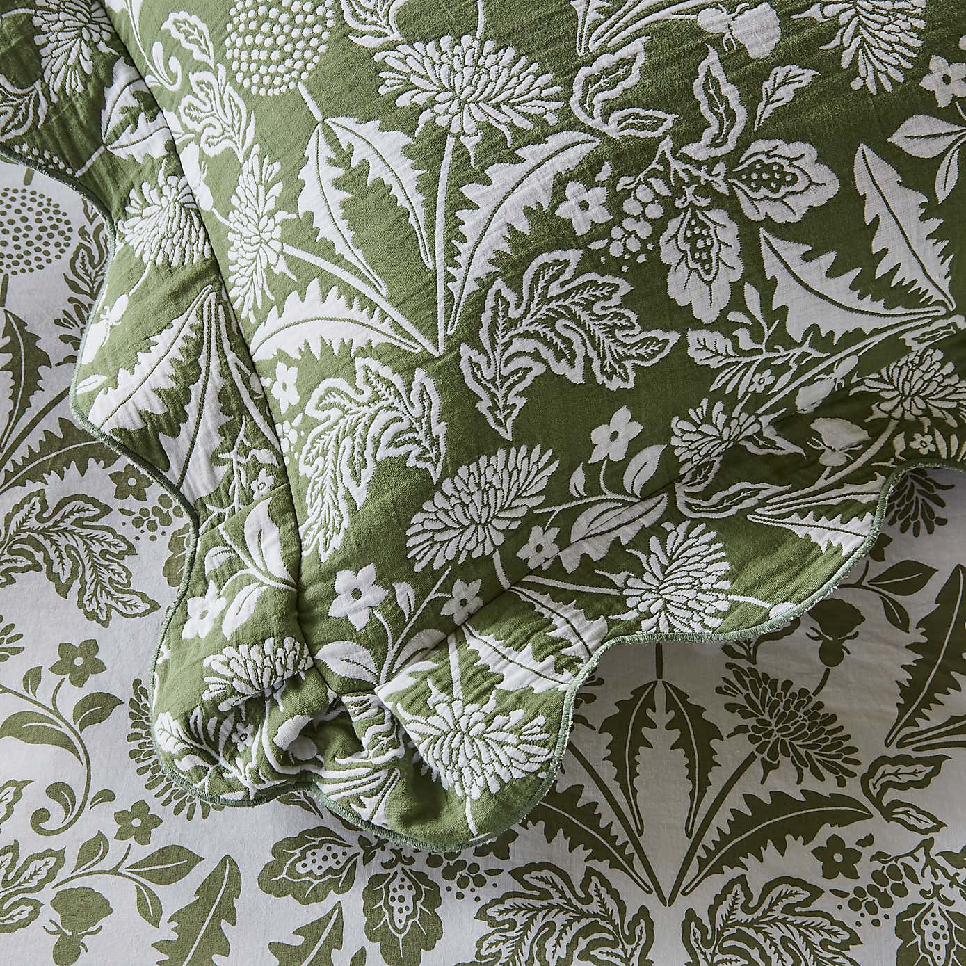 Dorma Dandelion Standard Pillowcase Pair