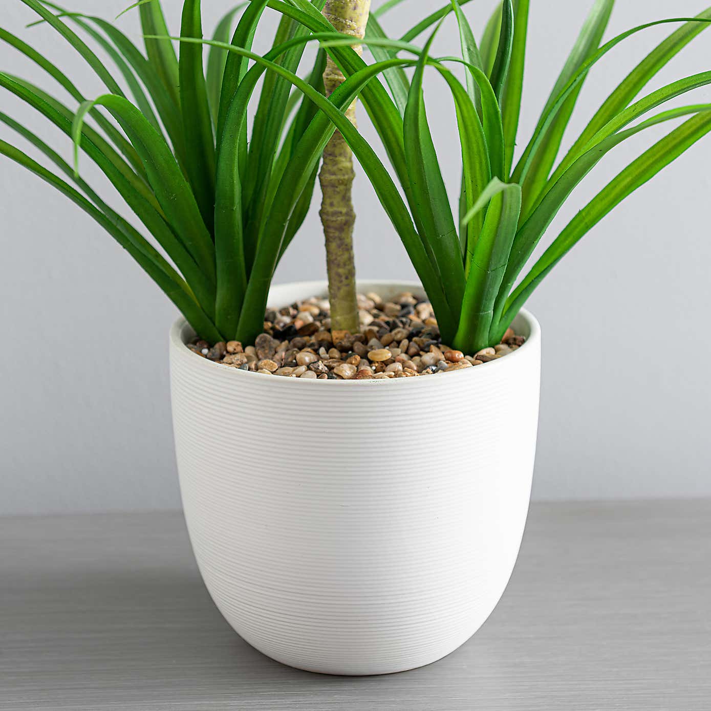 Artificial Yucca Plant in White Ceramic Plant Pot