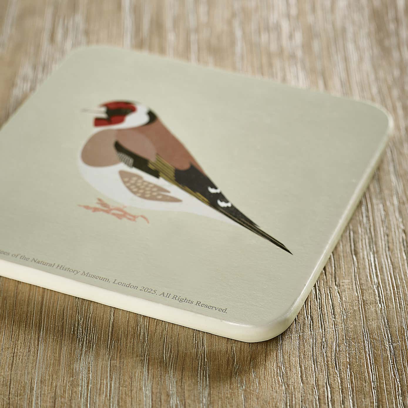 Set of 4 Birds Coasters