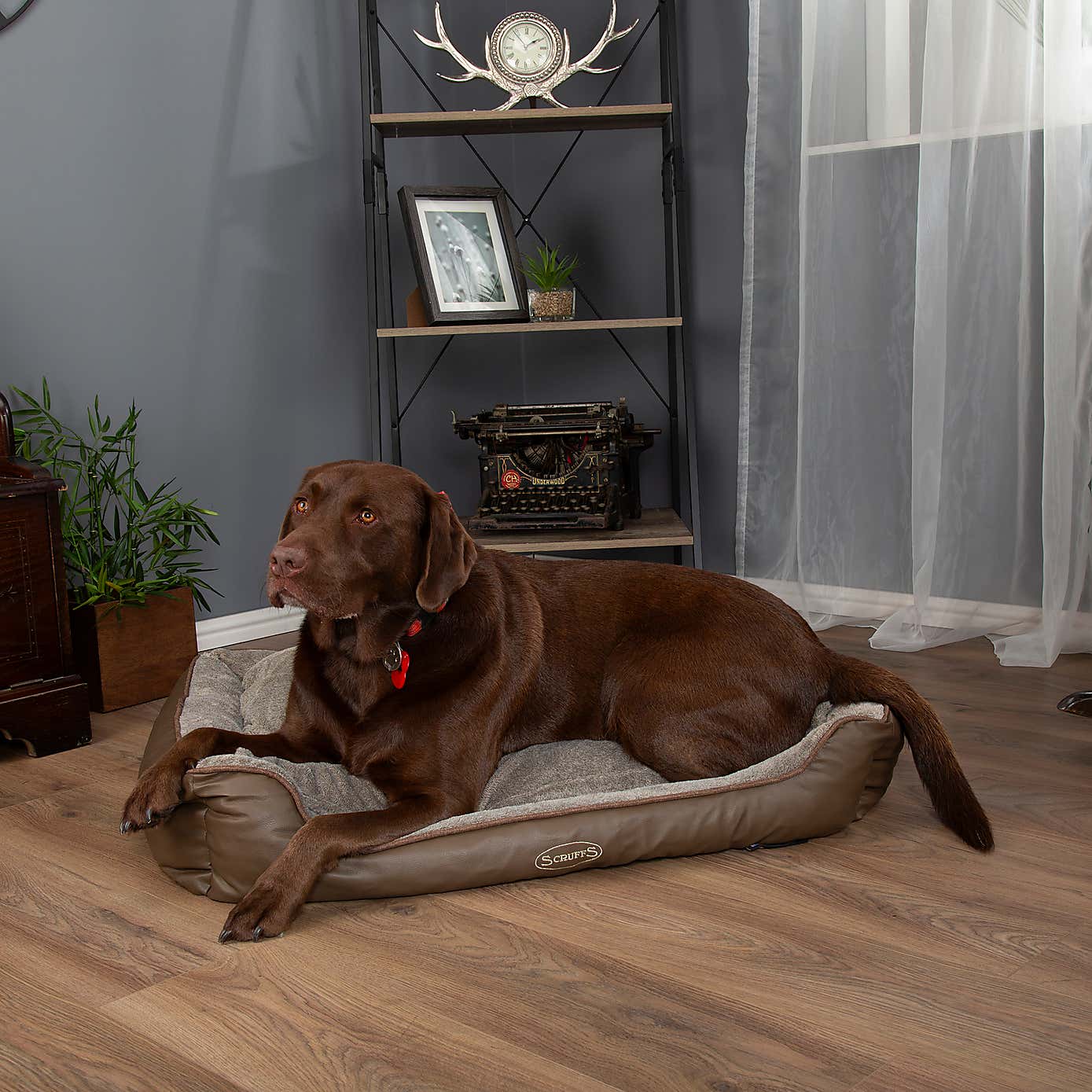 Scruffs Pet Chateau Memory Foam Orthopaedic Box Bed