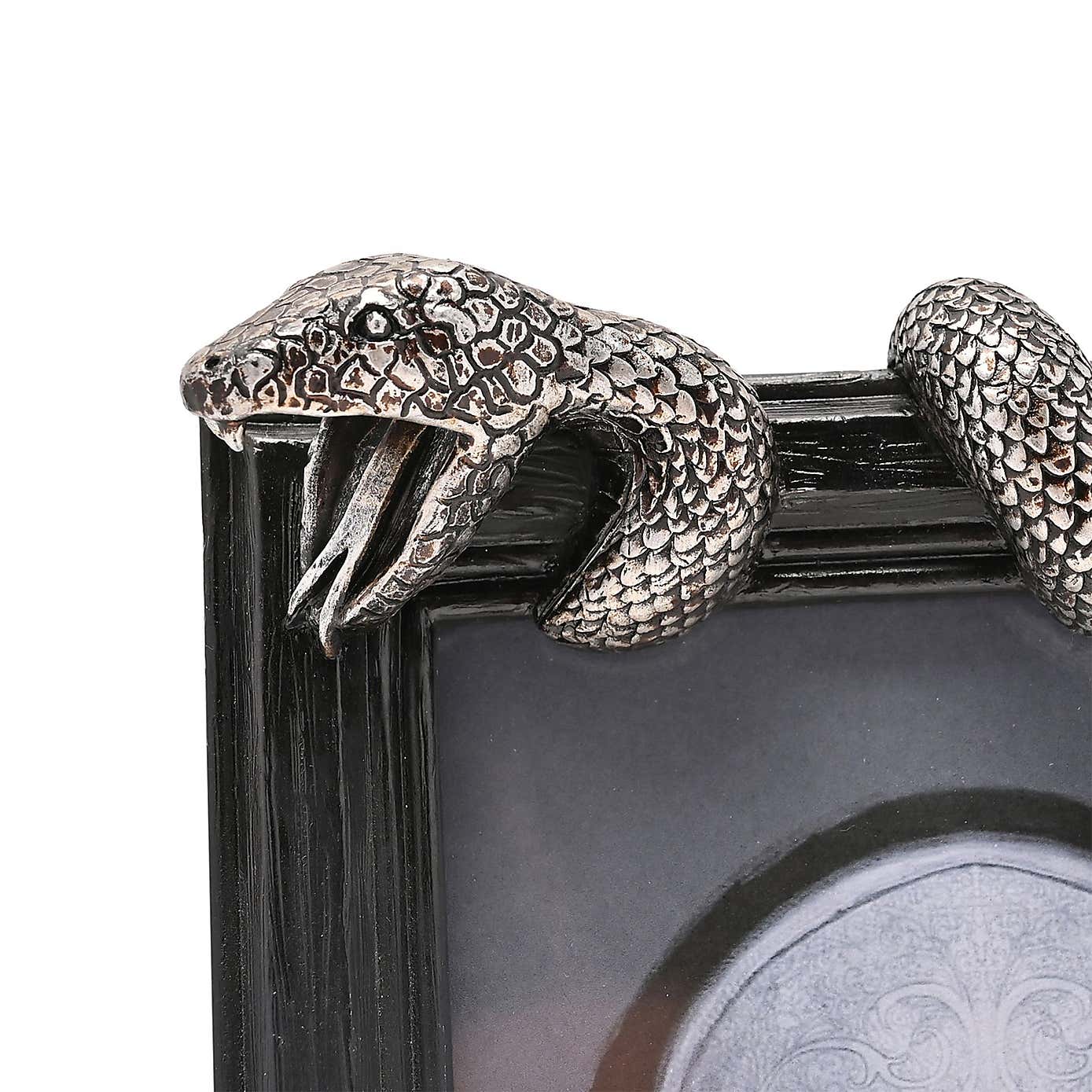 Harry Potter Nagini Photo Frame