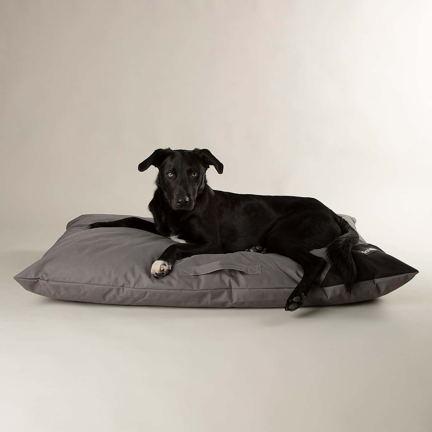 Scruffs Waterproof Expedition Memory Foam Dog Pillow