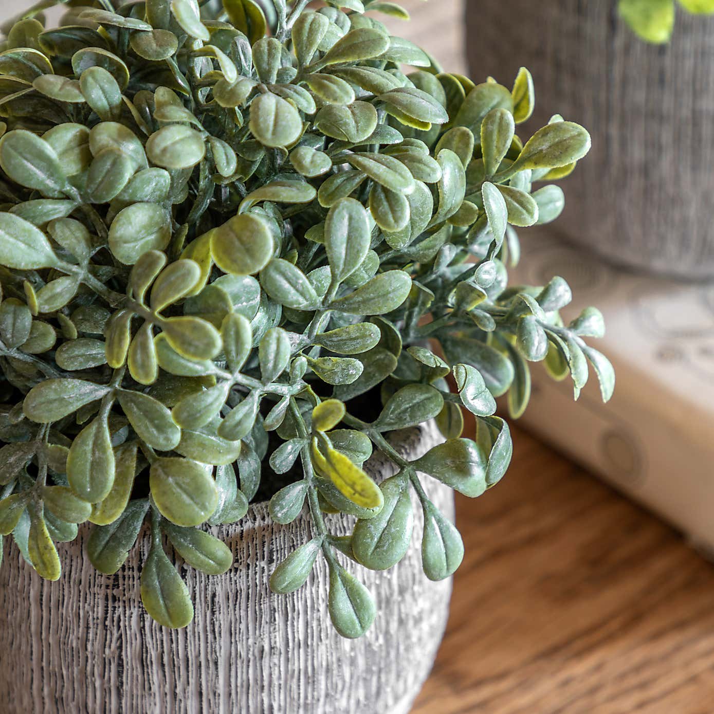 Set of 2 Artificial Sage Plants in Ceramic Pots