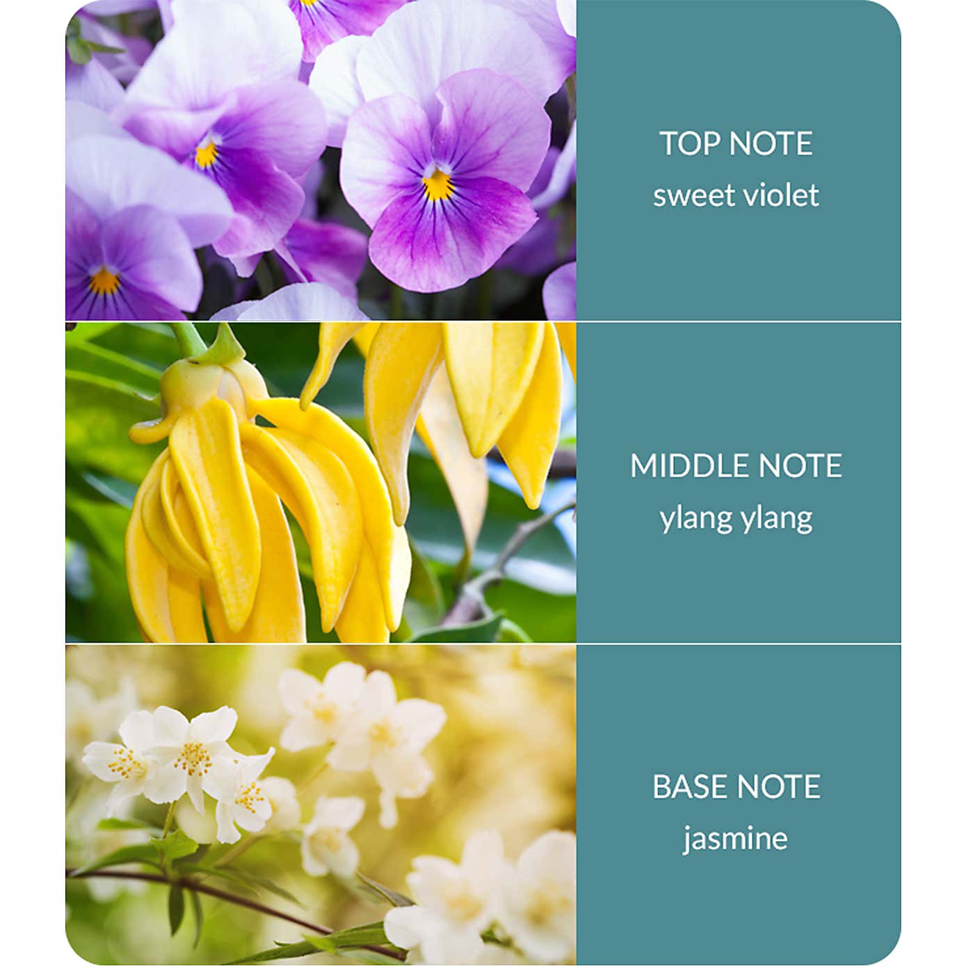 Heart and Home Ellipse Simply Spa Multi Wick Candle