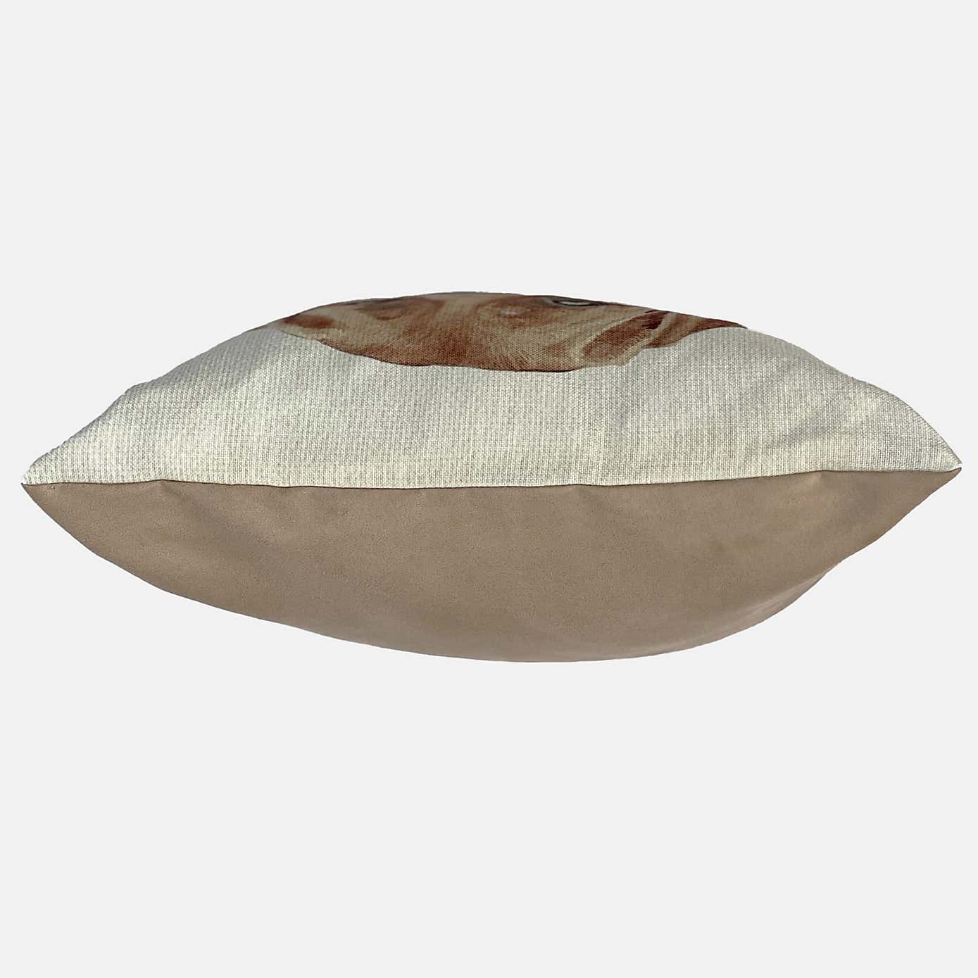 Christine Varley Fox Red Labrador Square Cushion