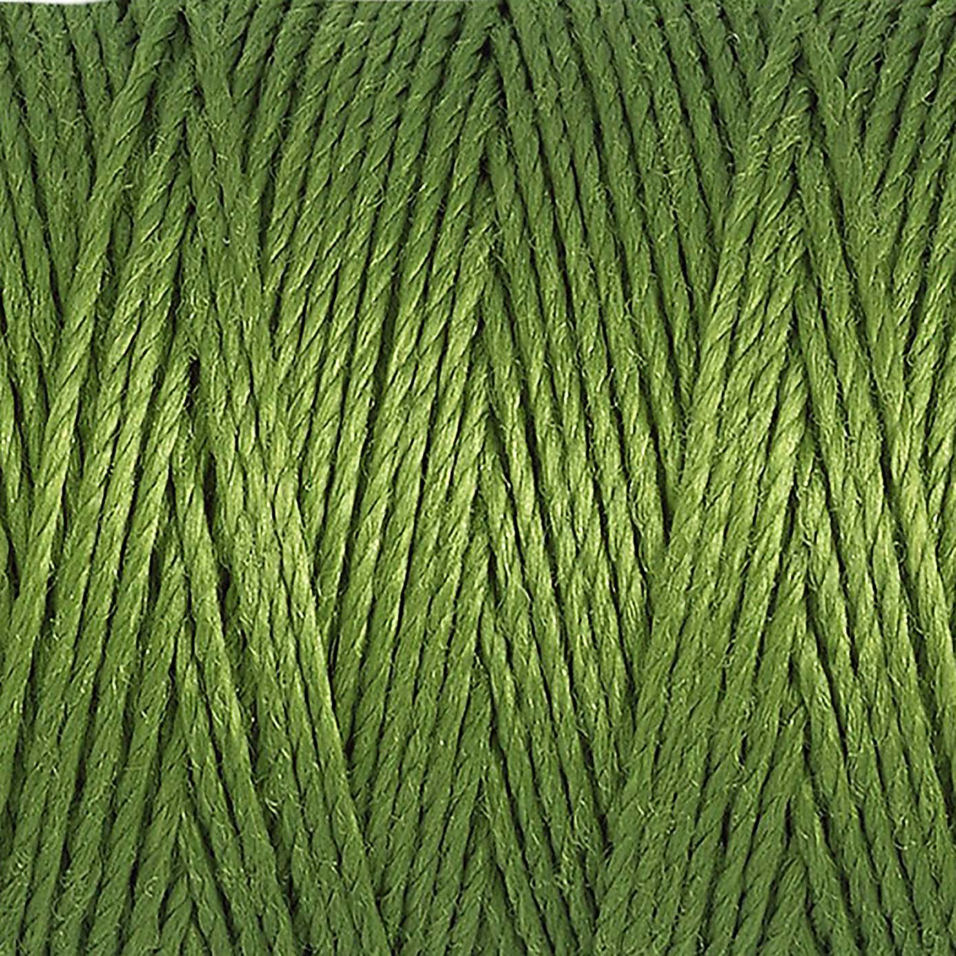 Gutermann Top Stitch Thread 30m Green (283)