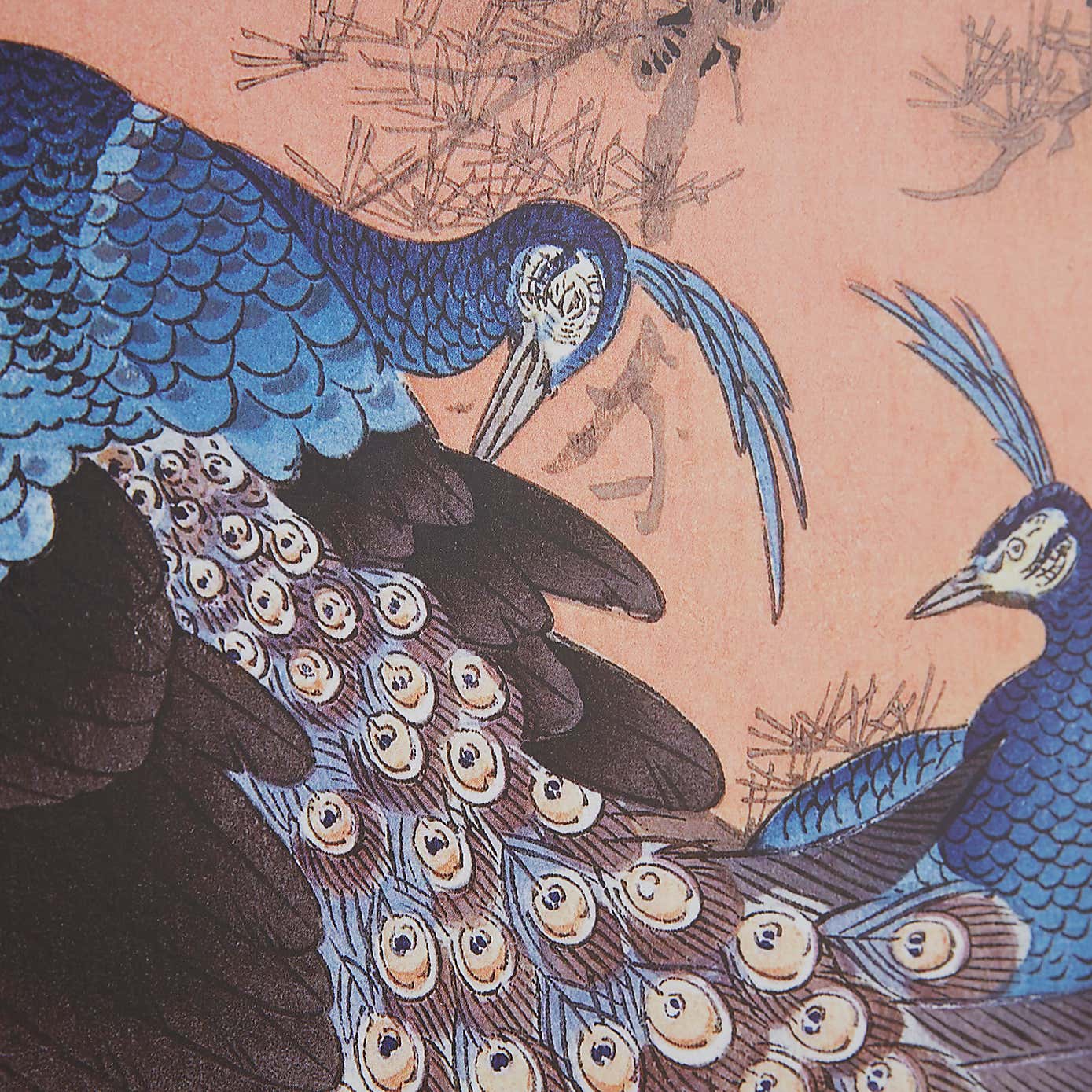 Two Peacocks on Tree Branch by Ohara Koson Framed Print