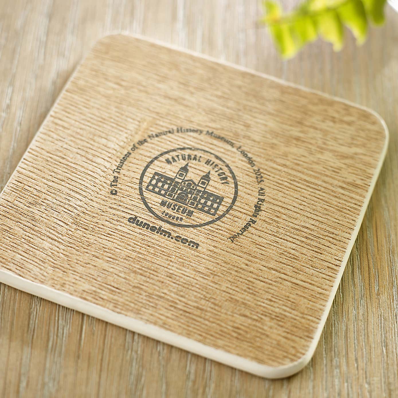 Set of 4 Birds Coasters