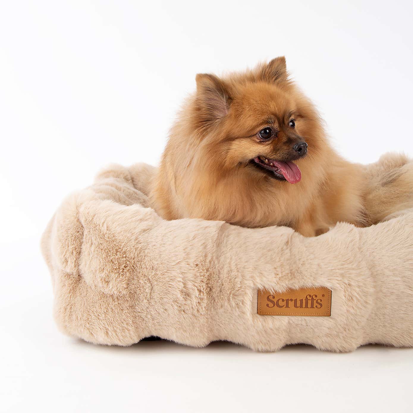 Scruffs Luxurious Alpine Dog Box Bed