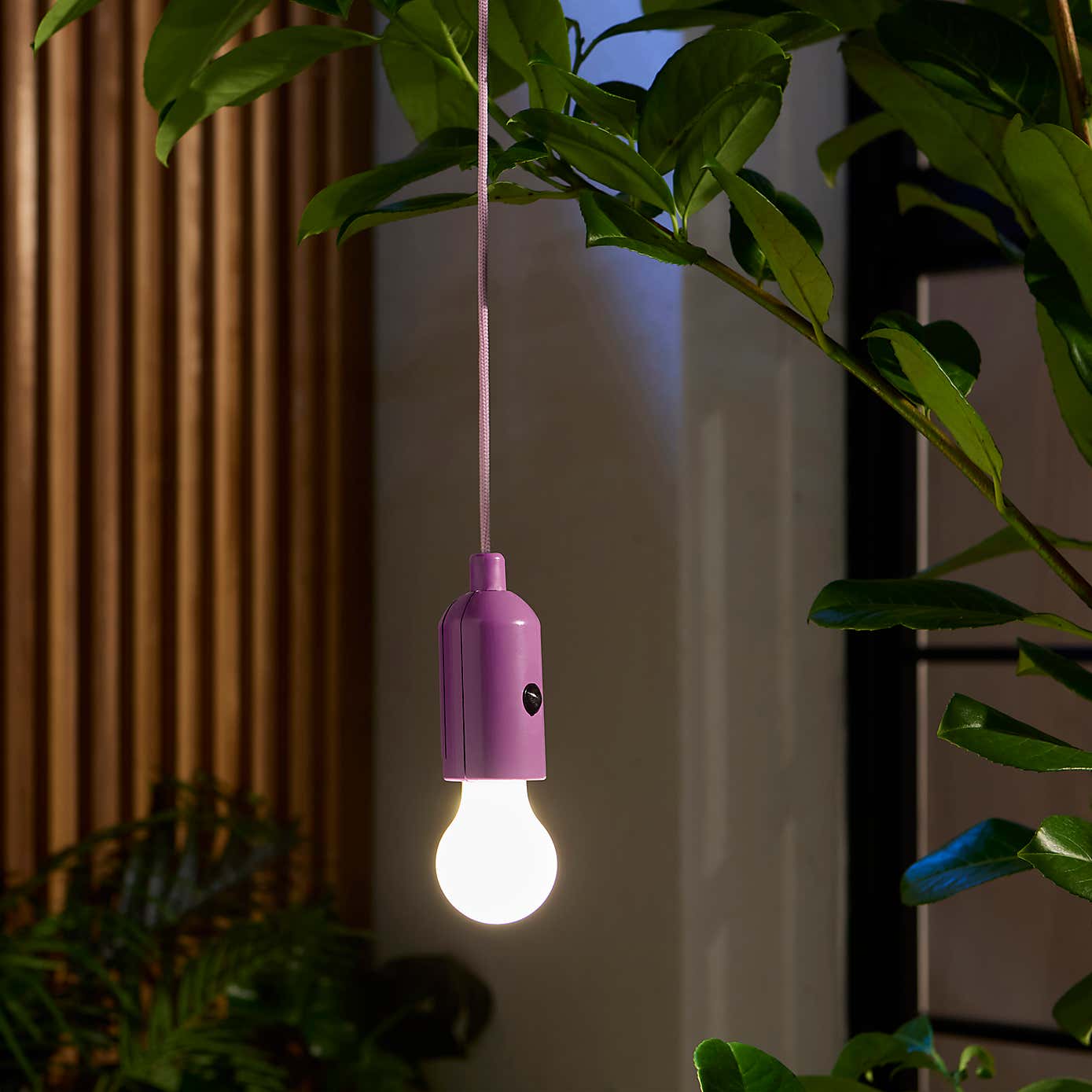 Rope Hanging LED Indoor Outdoor Light