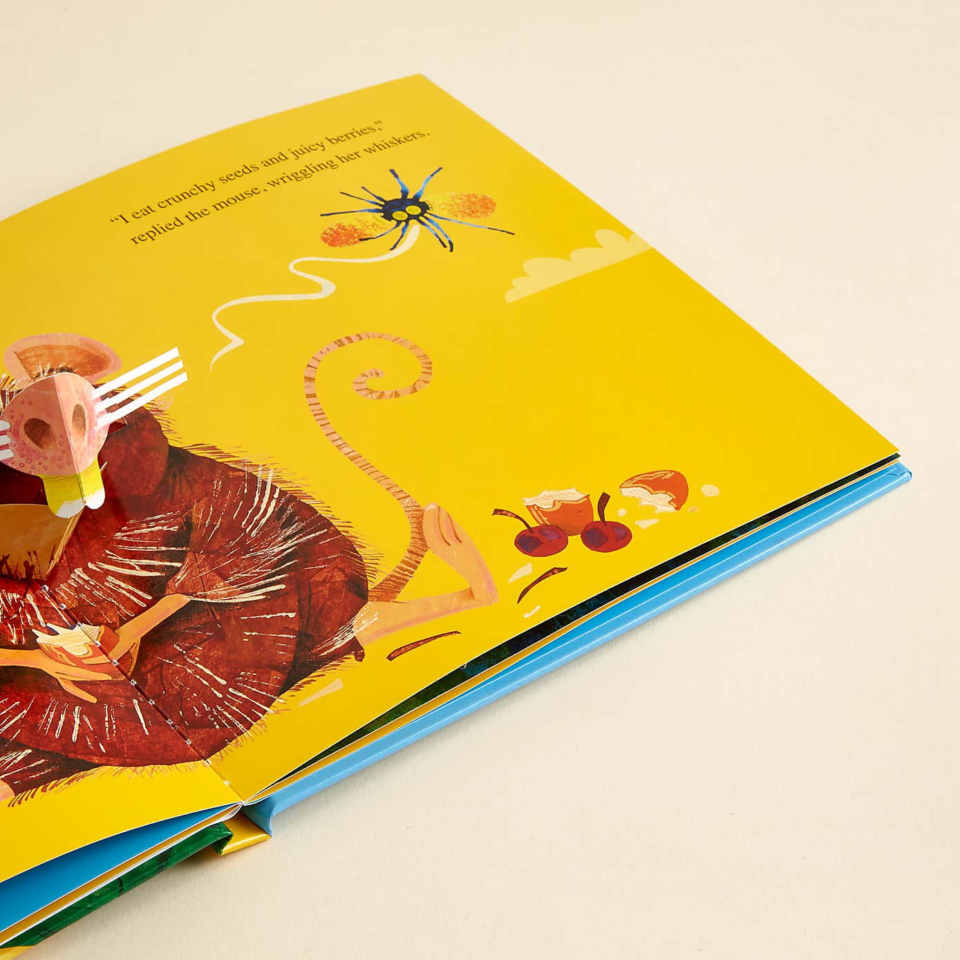 The Wide Mouthed Frog