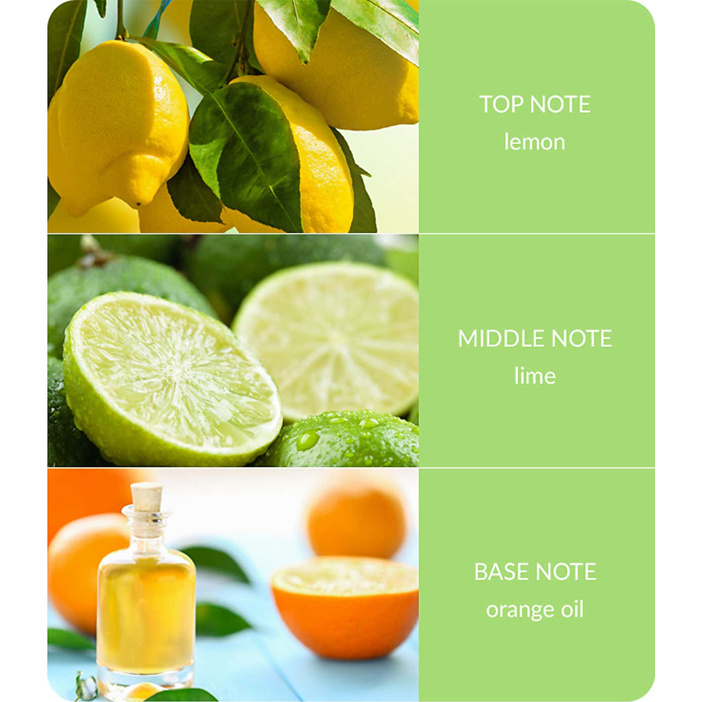 Heart and Home Ellipse Citrus Crush Multi Wick Candle