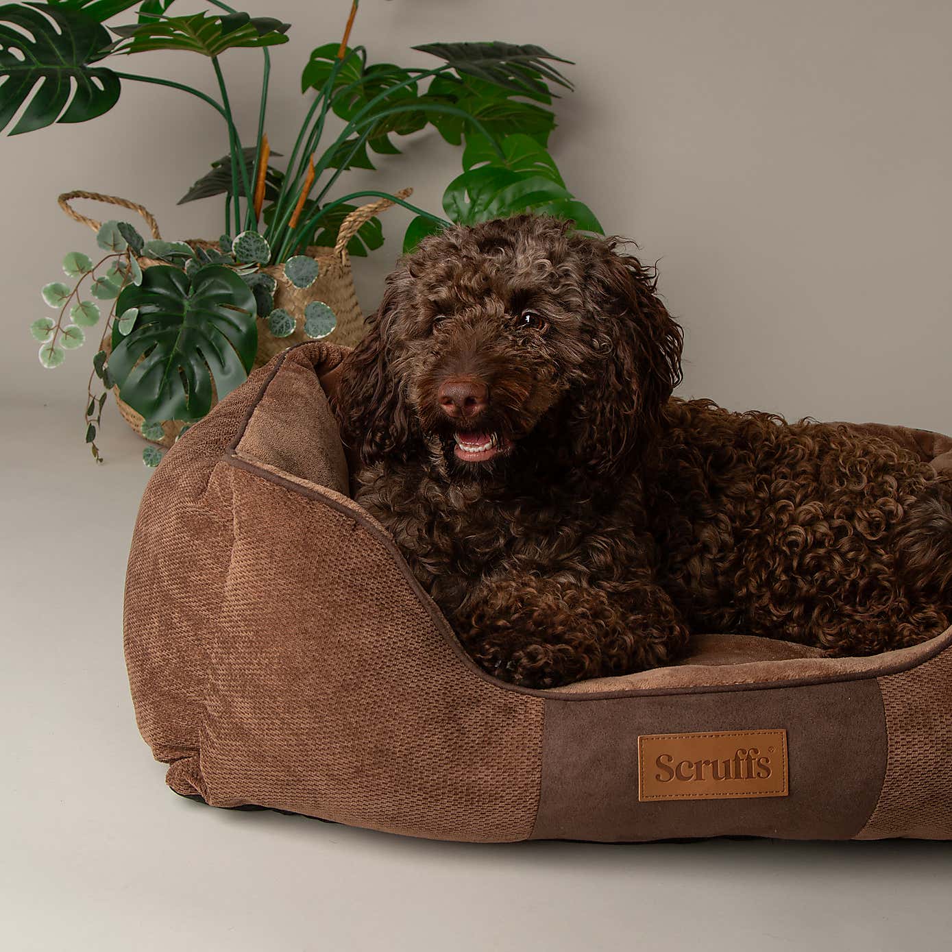 Scruffs Pet Chester Box Bed