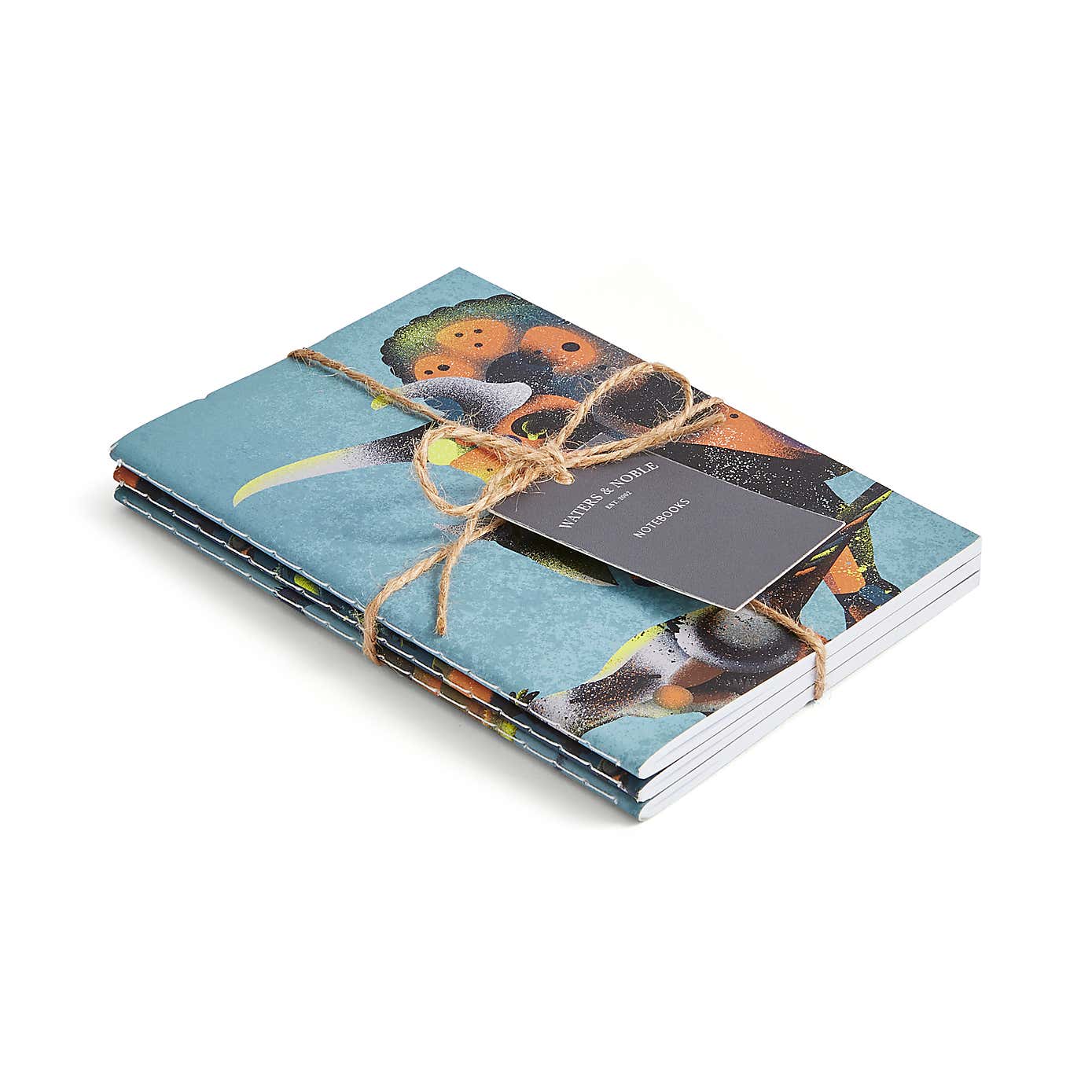 Set of 3 Age of Dinosaurs Softcover Notebooks