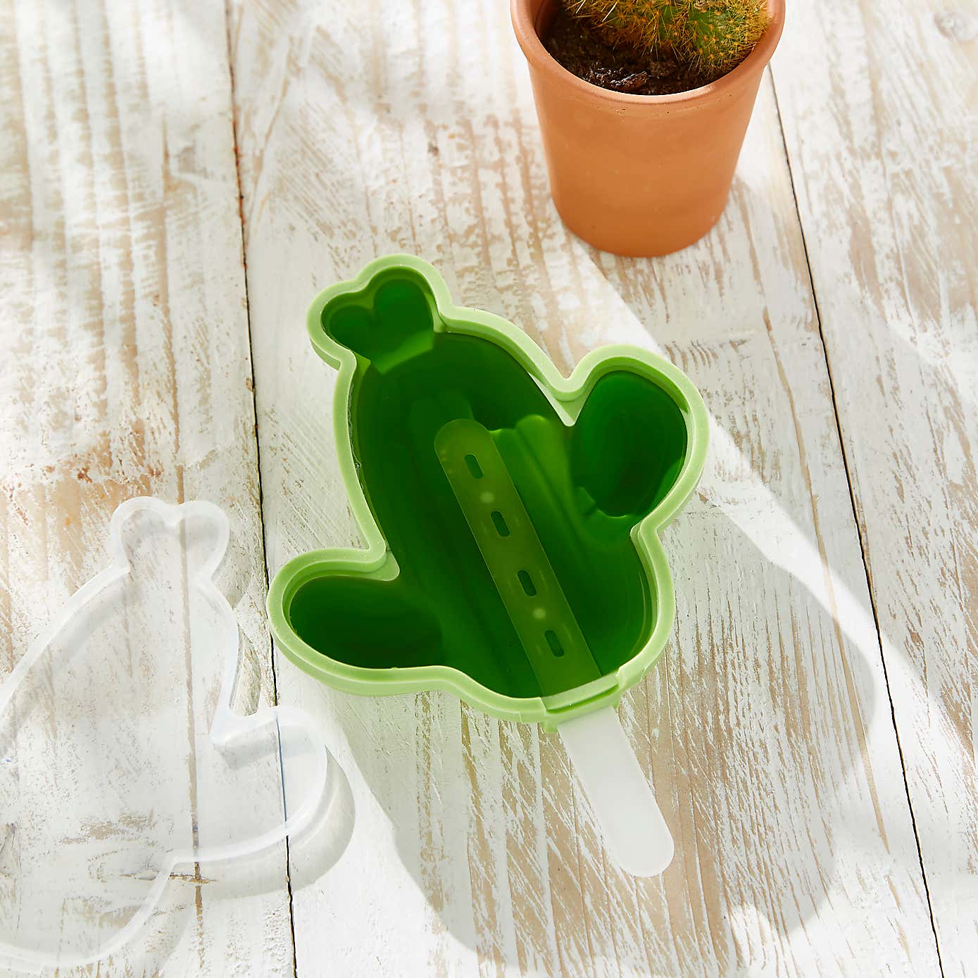 Cactus Ice Lolly Mould