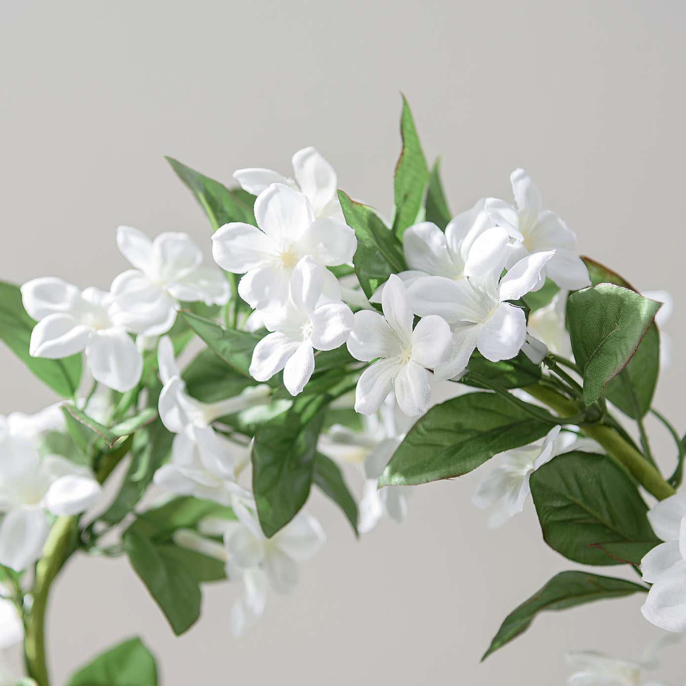 Artificial White Stephonotis in Blue Ceramic Plant Pot
