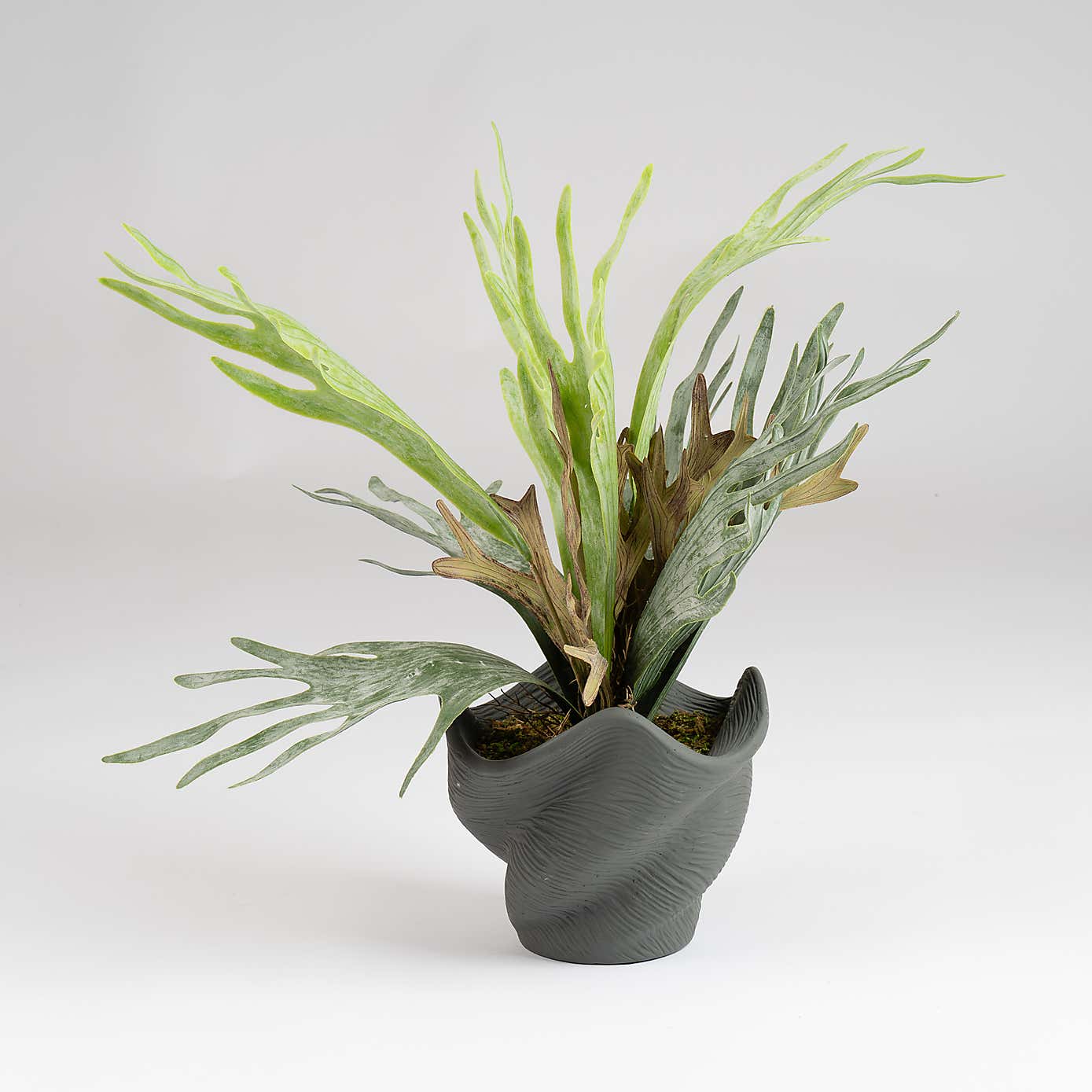 Artificial Sea Greens in Cement Shell Plant Pot