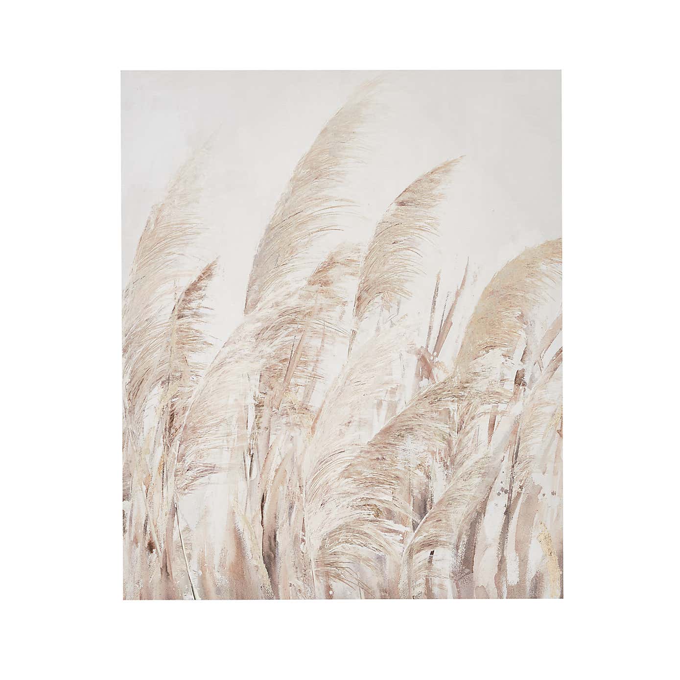 Pampas Grass Canvas
