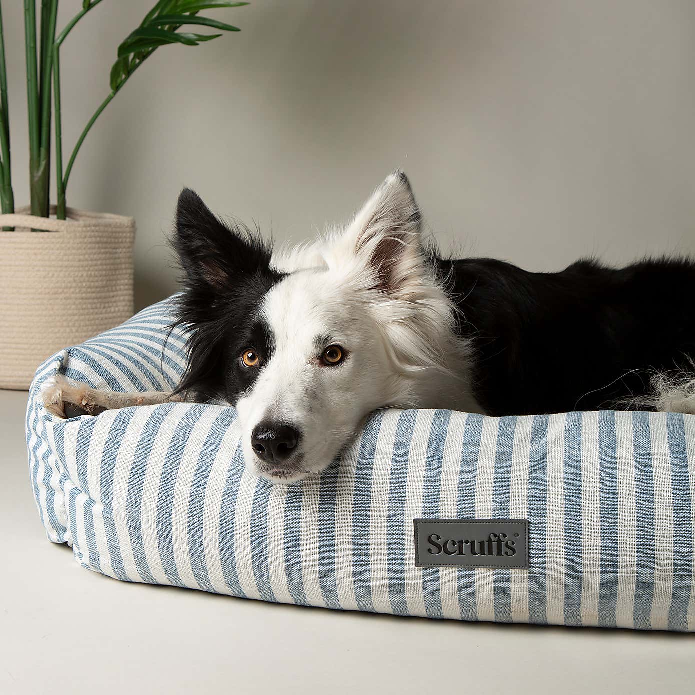 Scruffs Luxury Coastal Pet Box Bed