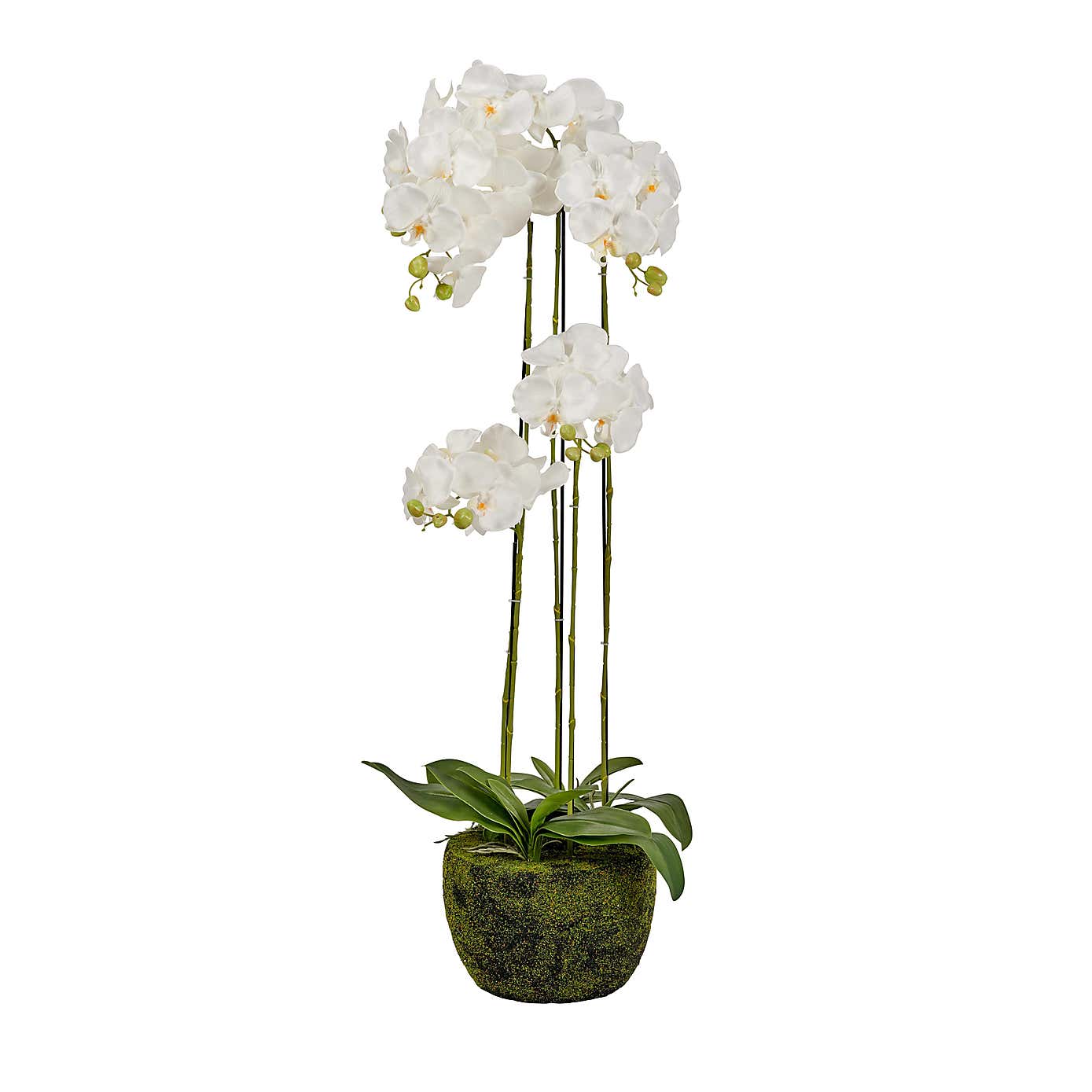Artificial White Orchid in Moss Plant Pot