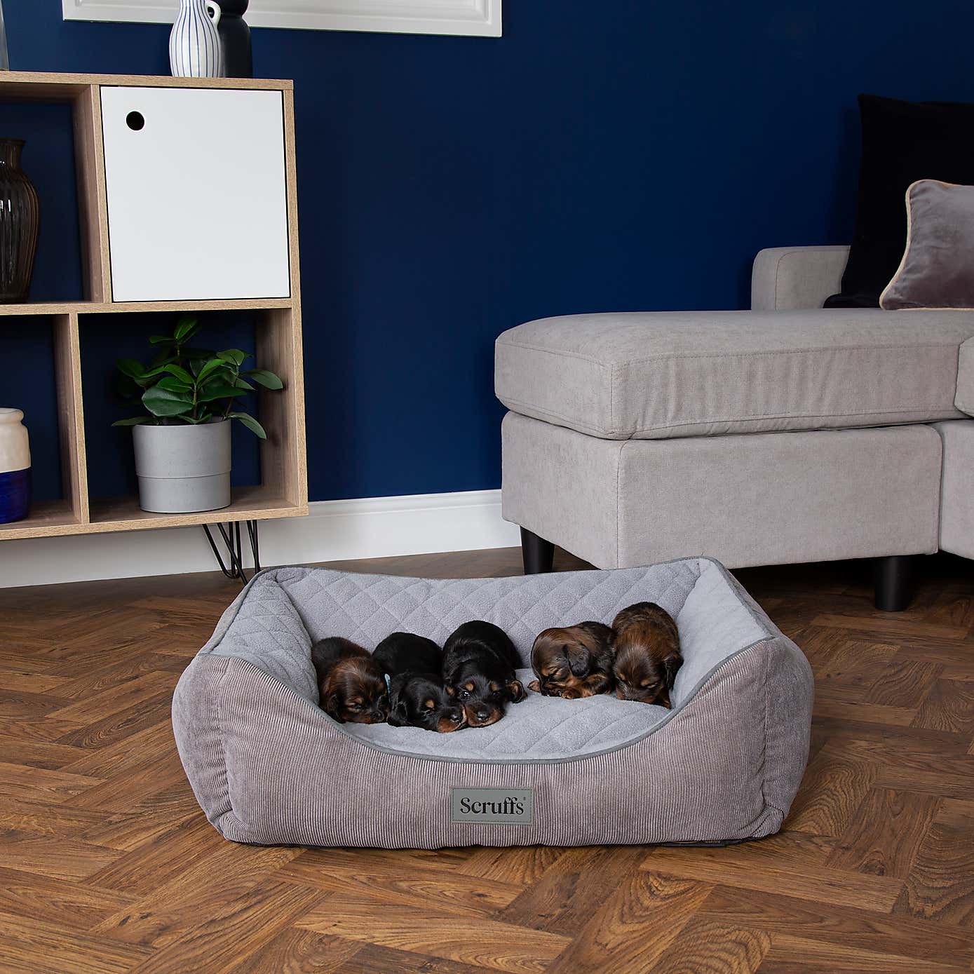 Scruffs Self Heating Thermal Dog Box Bed