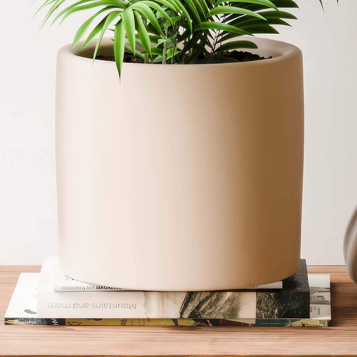 Beards & Daisies Parlour Palm House Plant in Earthenware Pot