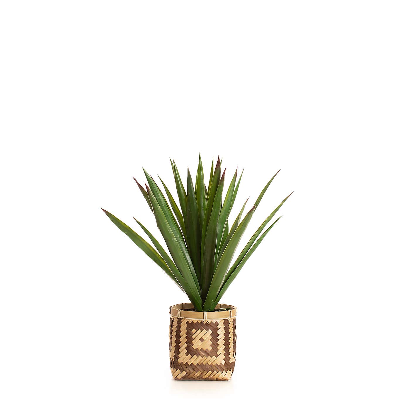Artificial Spikey Plant in Bamboo Plant Pot