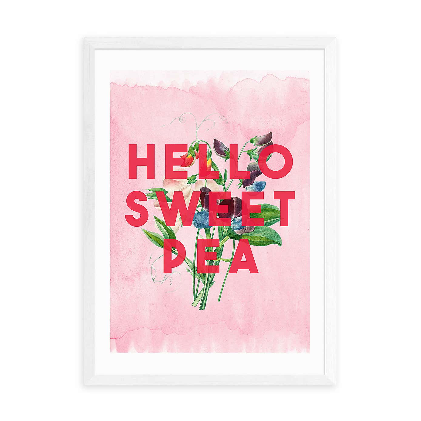 East End Prints Hello Sweet Pea Print by The 13 Prints