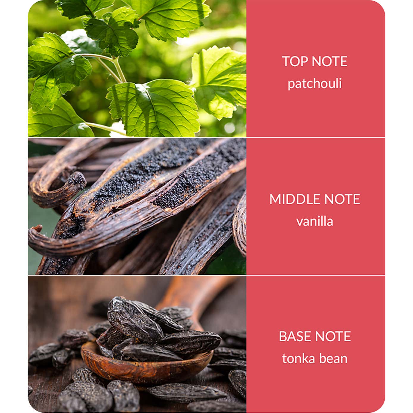 Heart and Home Ellipse True Enchantment Multi Wick Candle