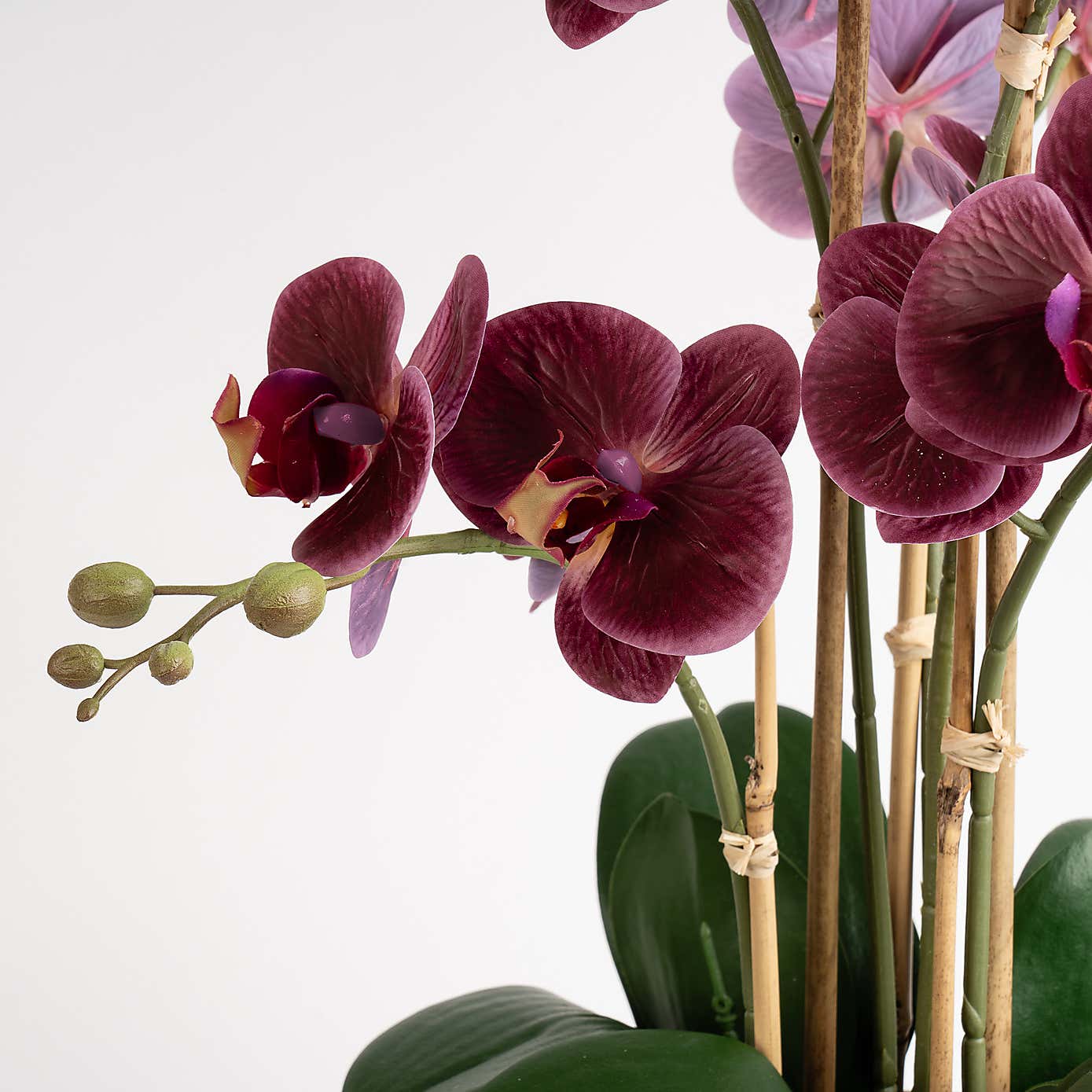 Artificial Real Touch Dark Pink Phalaenopsis Orchid in Ceramic Pot