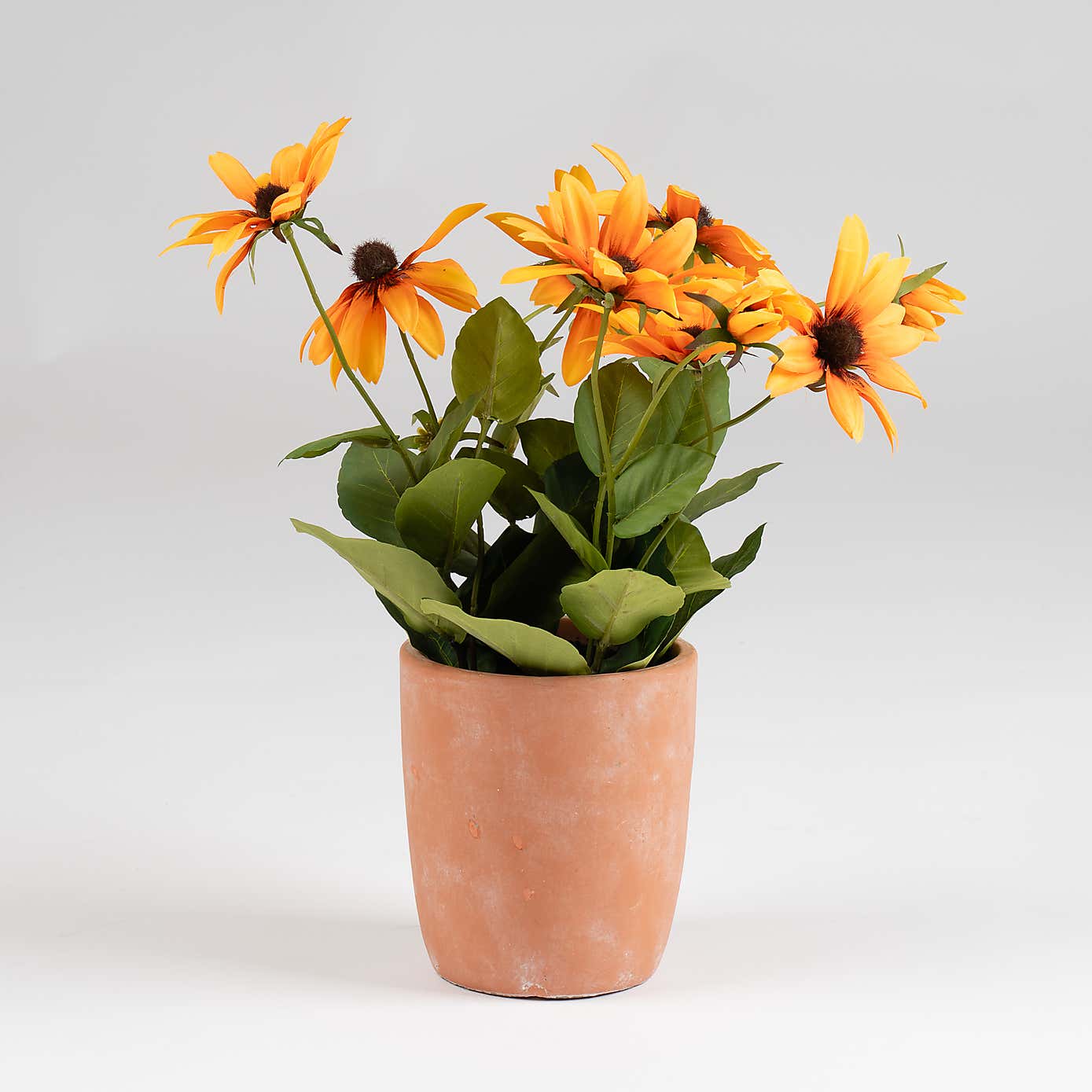 Artificial Orange Rudbeckia in Terracotta Plant Pot