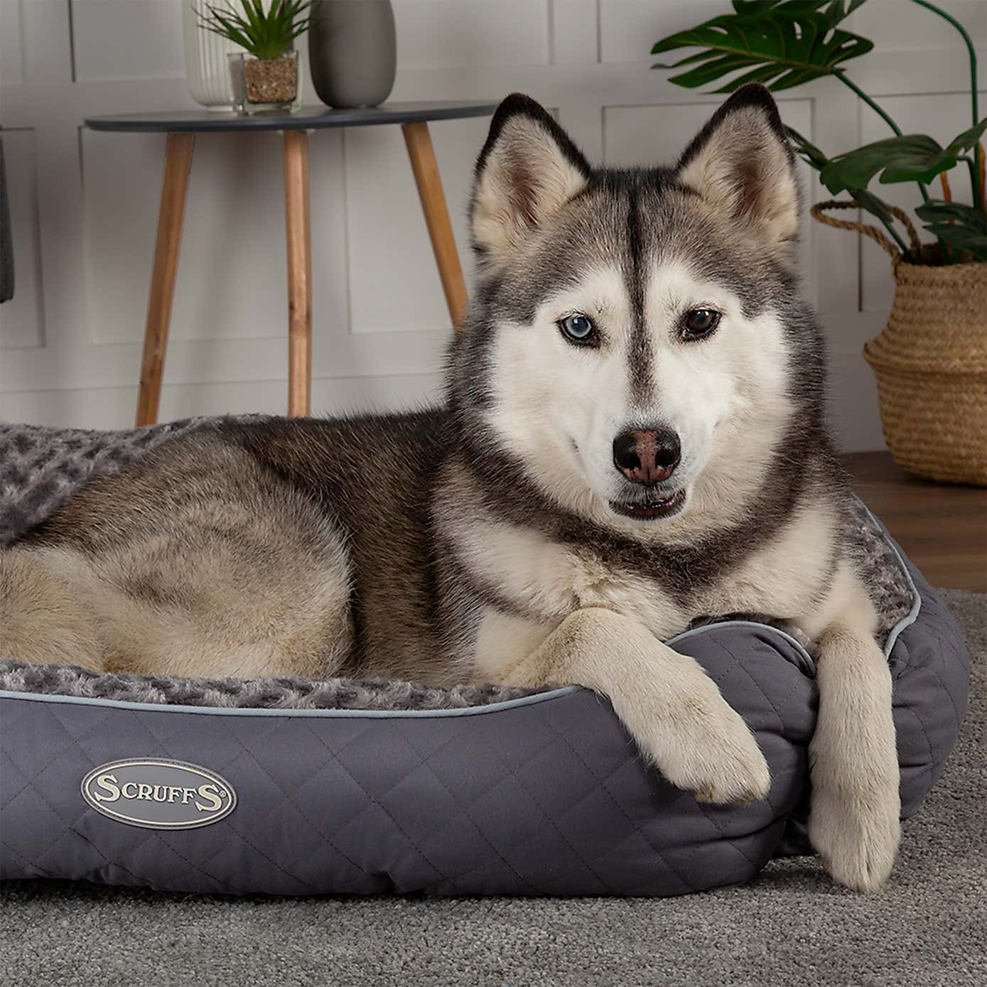 Scruffs Pet Wilton Box Bed