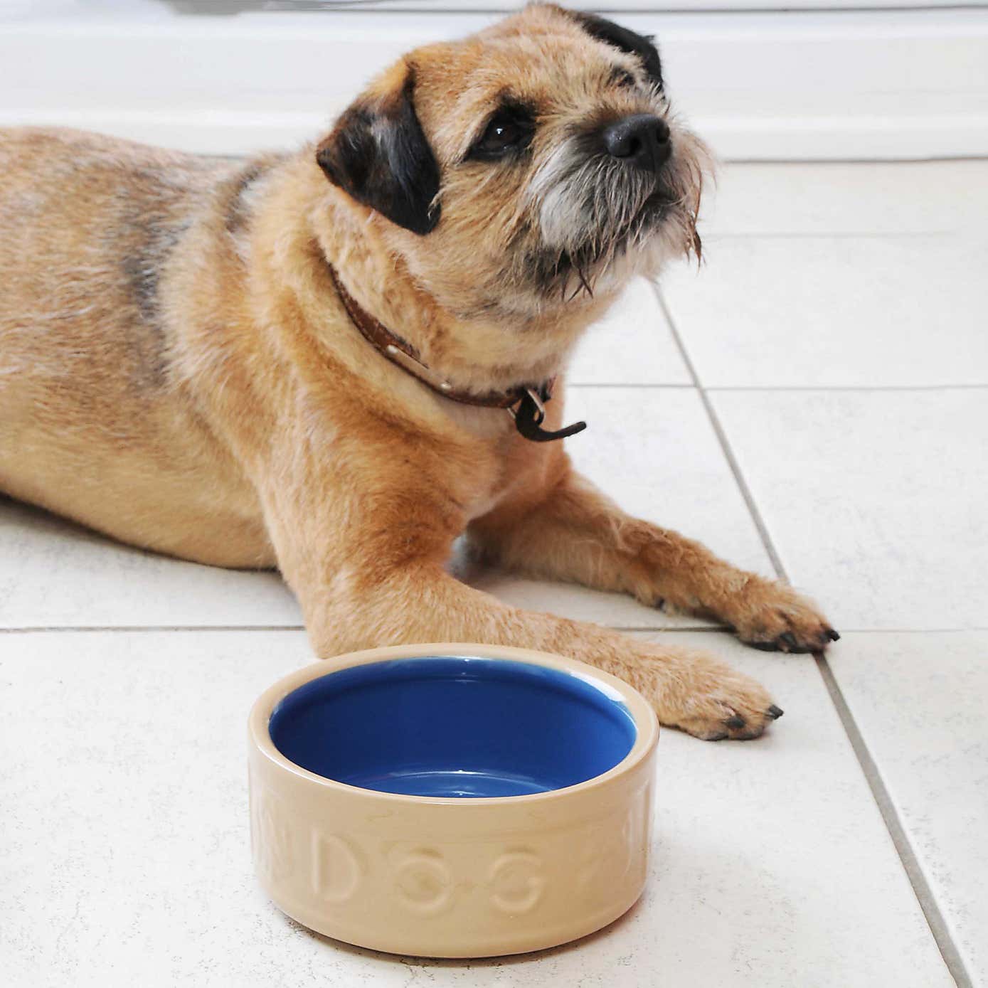 Mason Cash Cane and Blue Dog Bowl