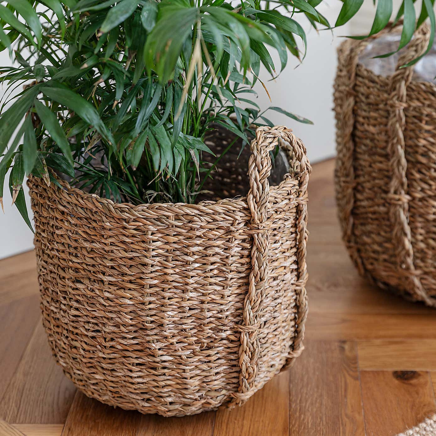 Set of 3 Tenno Seagrass & Reed Plant Pots
