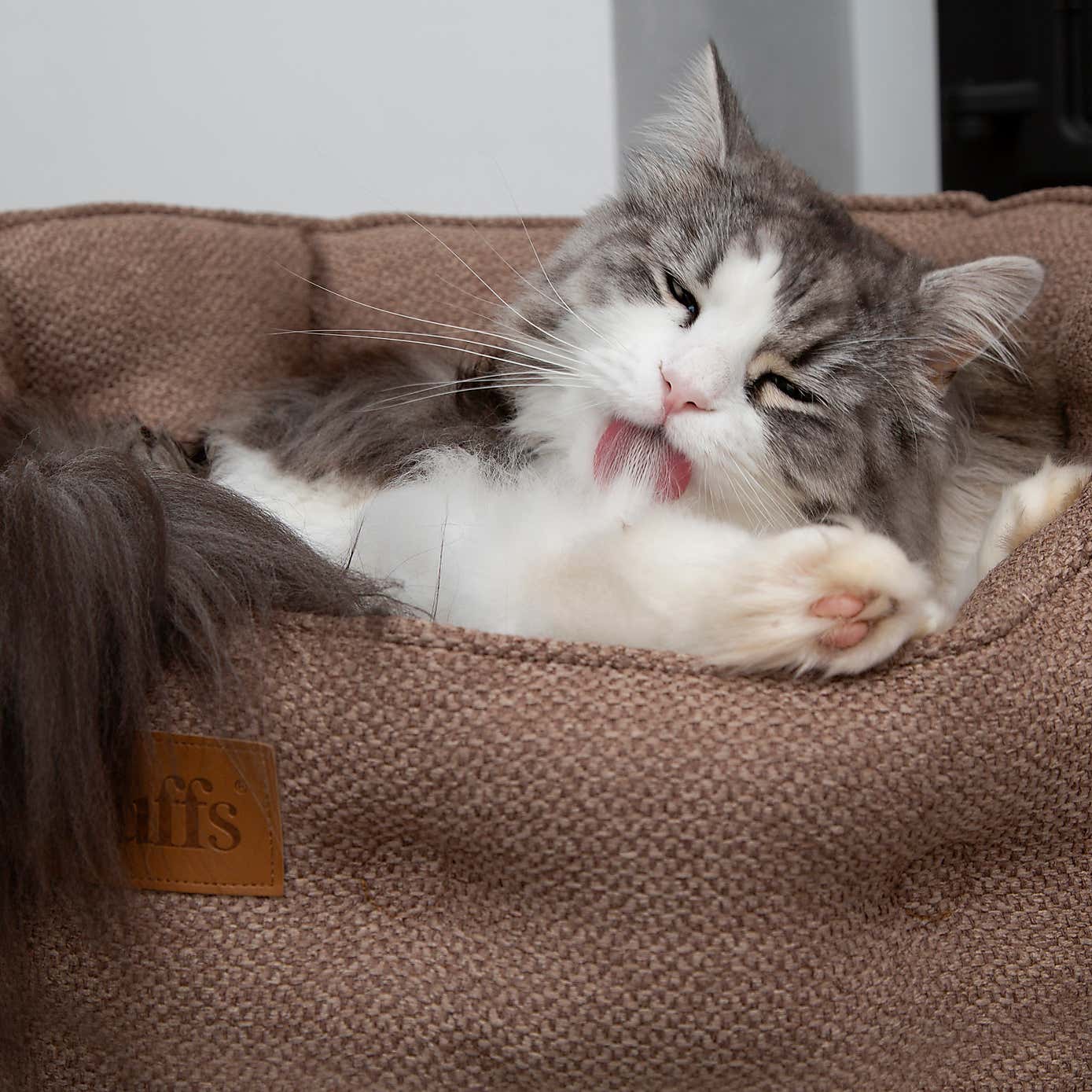 Scruffs Seattle Cat Bed