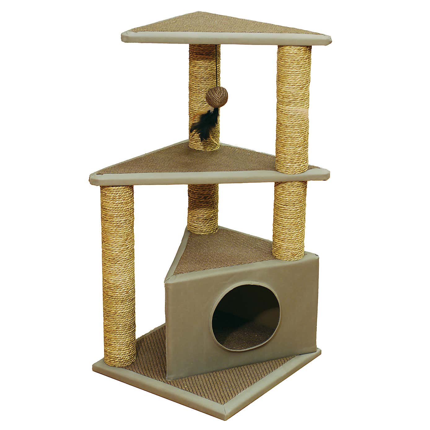 Rosewood Seattle Cat Post