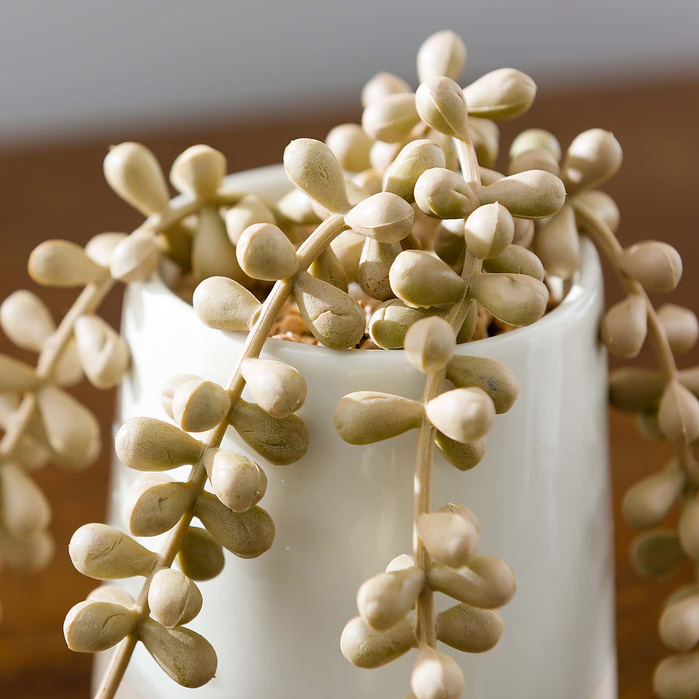 Artificial Trailing String of Pearls Plant in Textured Ceramic Plant Pot