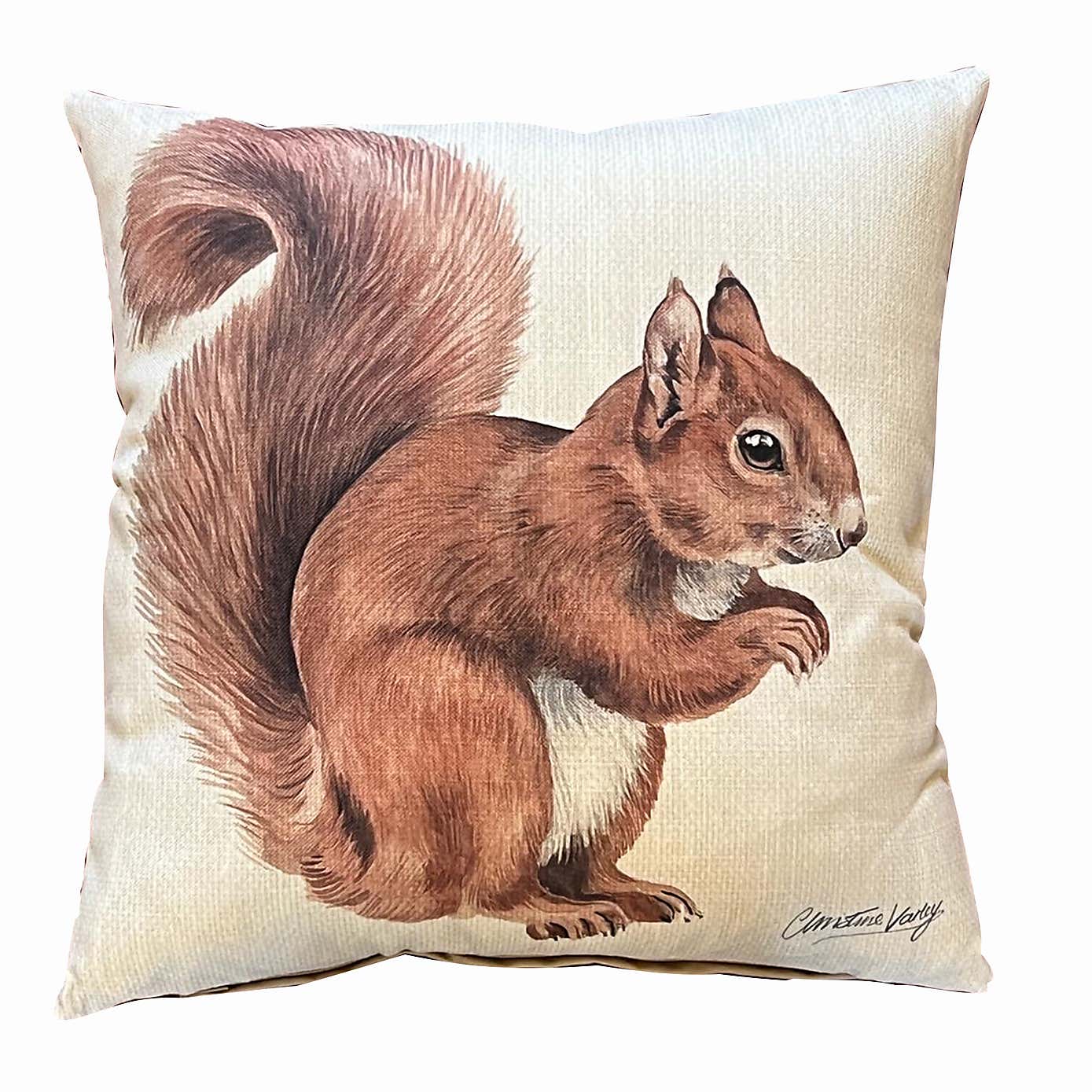 Daro Red Squirrel Square Cushion