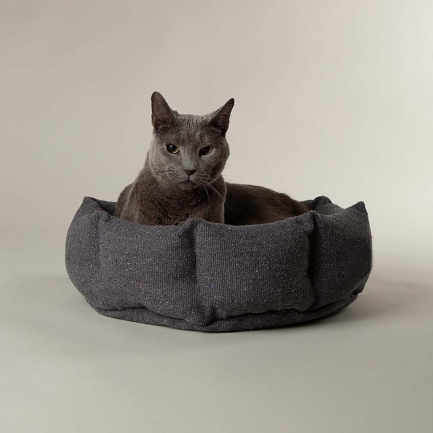 Scruffs 100% Recycled Eden Cat Small Dog Bed