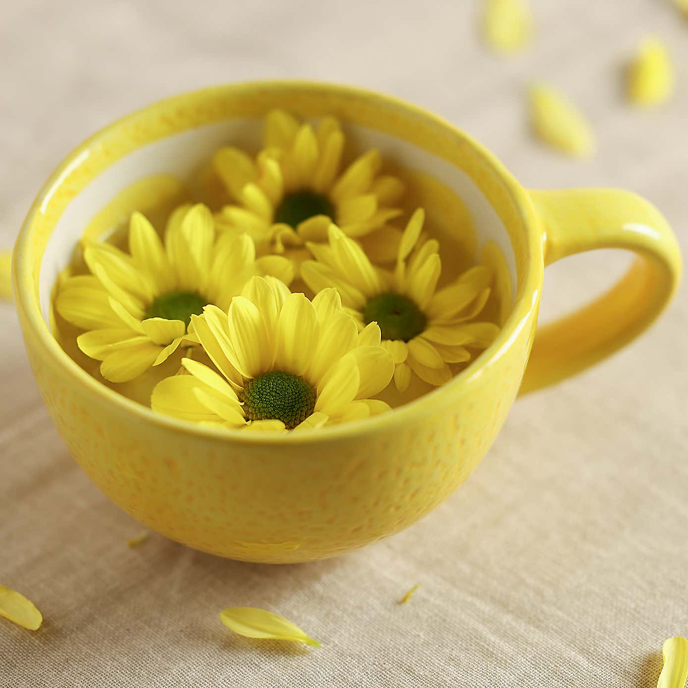 Hestia Lemon Slice Mug