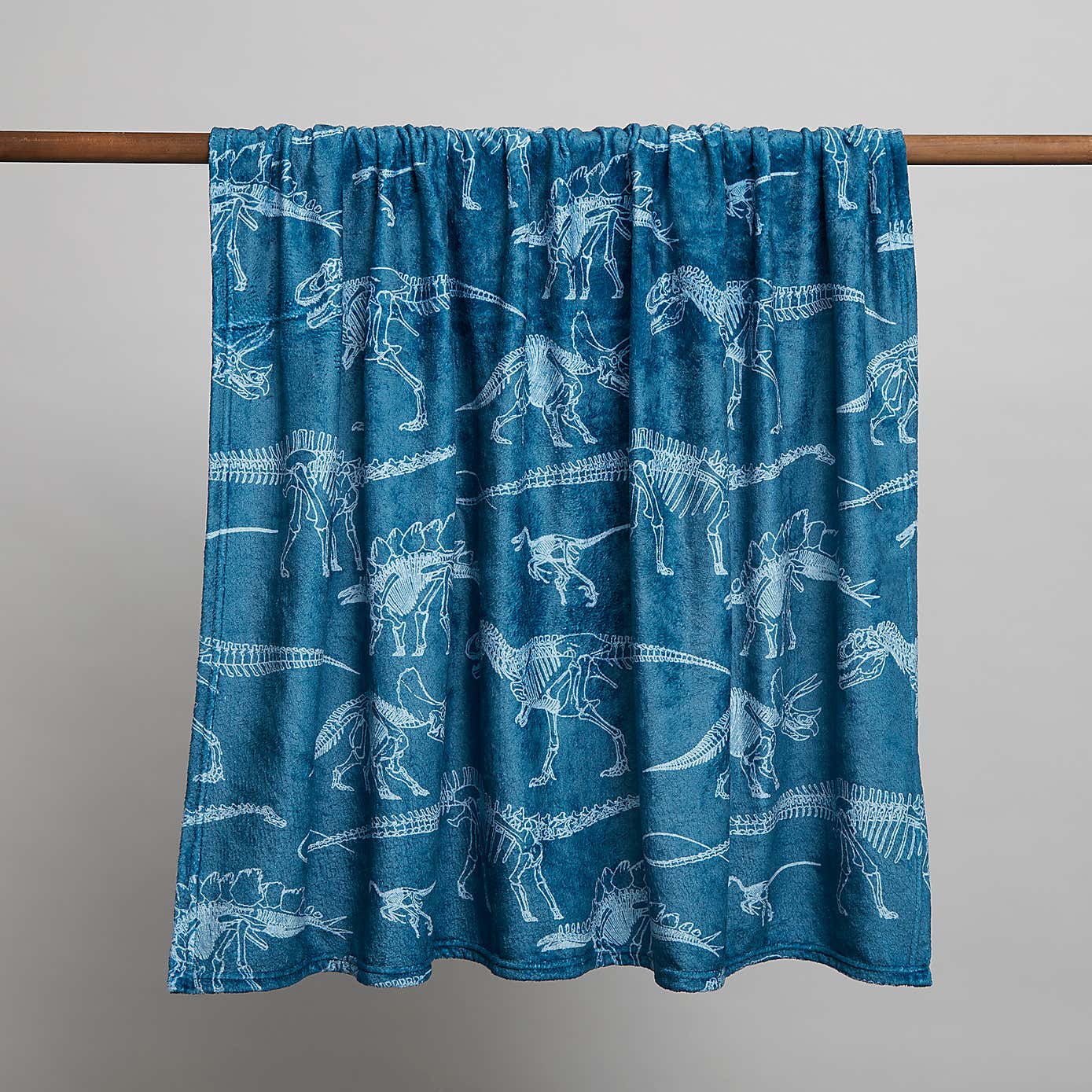 Age of Dinosaurs Blanket